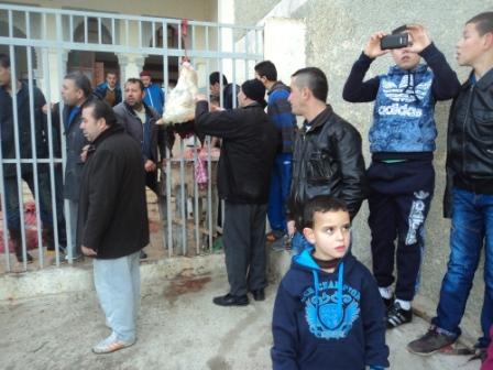 Louziaa du 24 décembre 2015 à Lemroudj