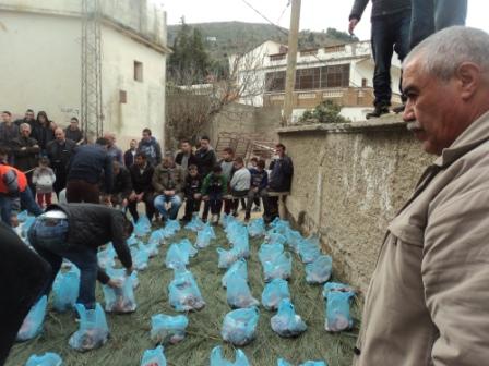 Louziaa du 24 décembre 2015 à Lemroudj