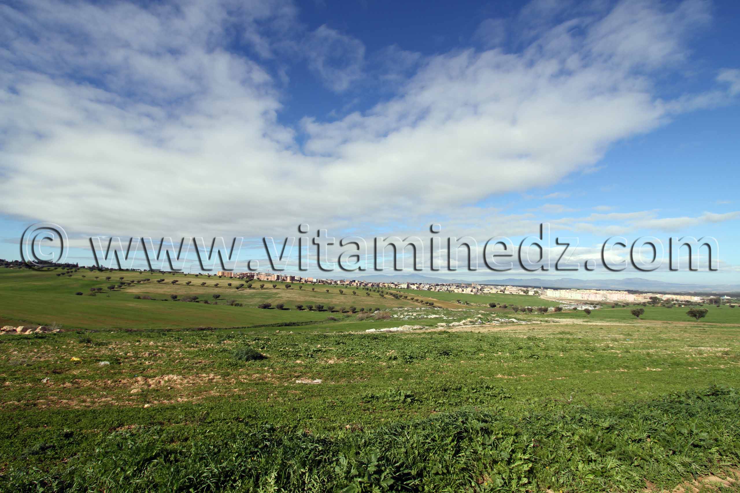 Vue sur Hennaya (Eugène Etienne)