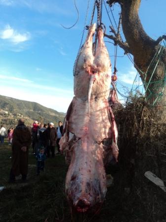 Louziaa du 24 décembre 2015 à Lemroudj