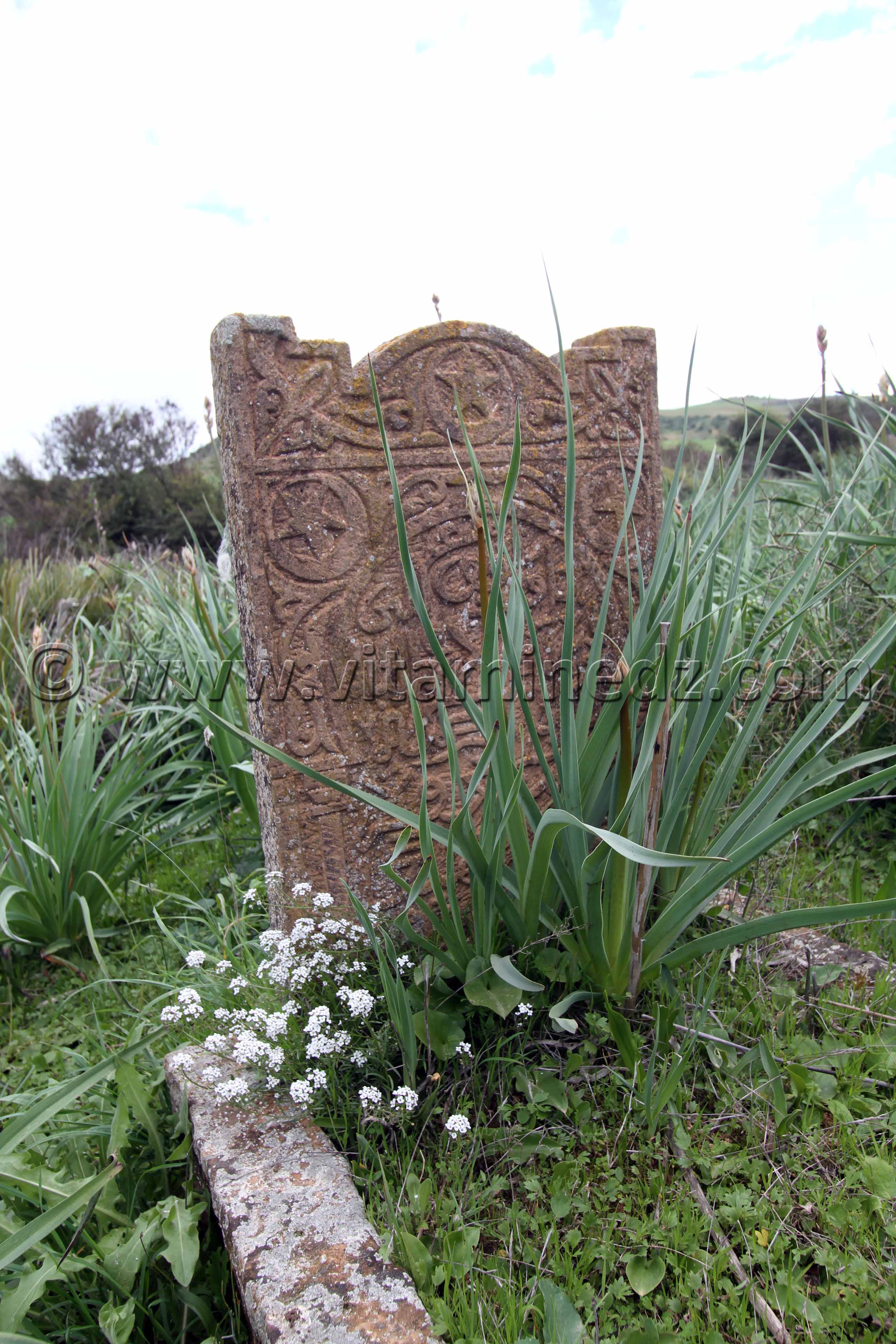 Tlemcen - Commune Ain youcef, Ancienne épitaphe - village de Boukoura