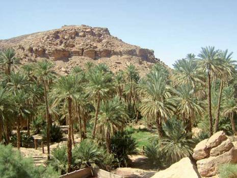 Taghit - L’oasis «submergée» par les visiteurs