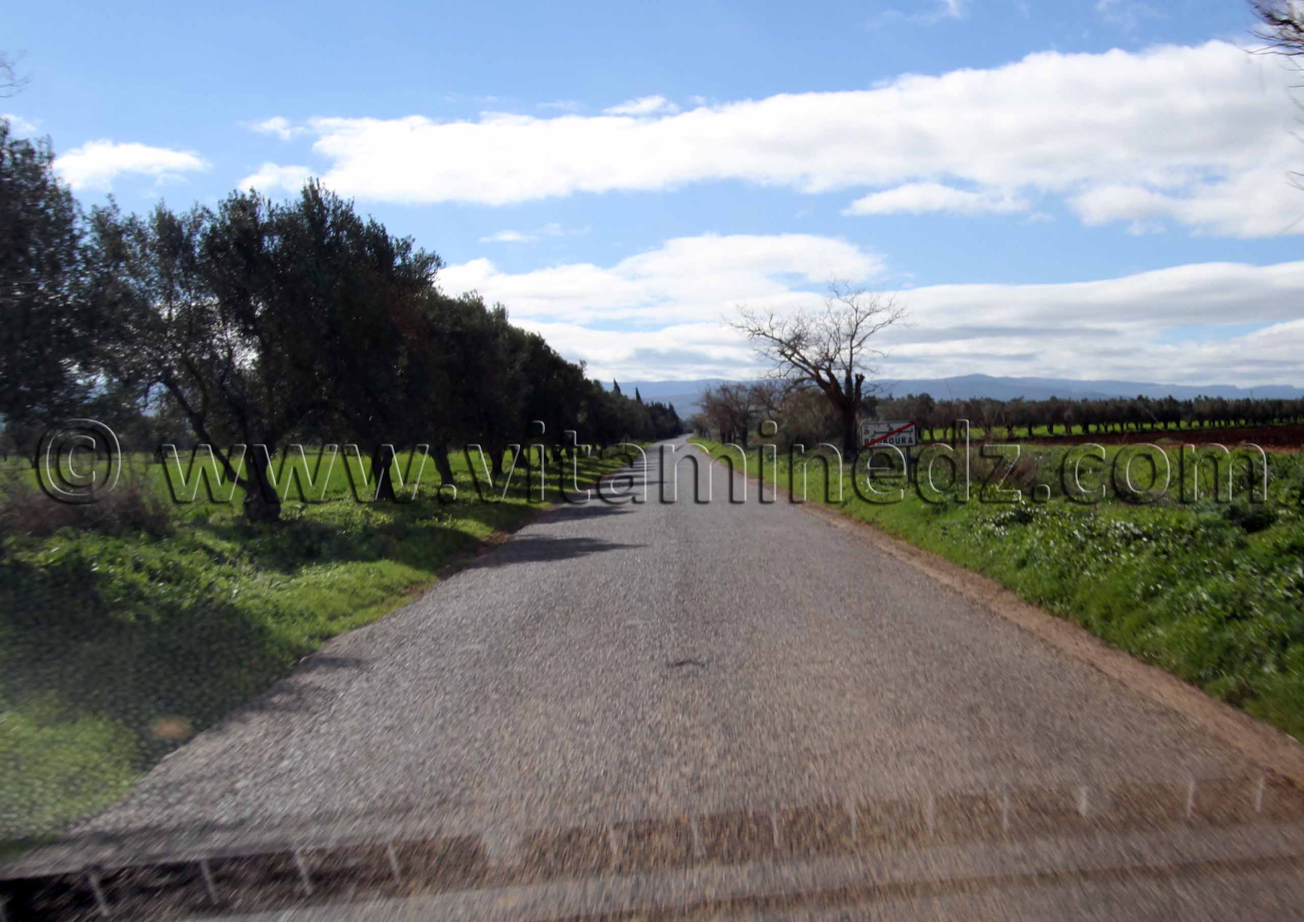 Tlemcen - Commune Ain youcef, village de Boukoura