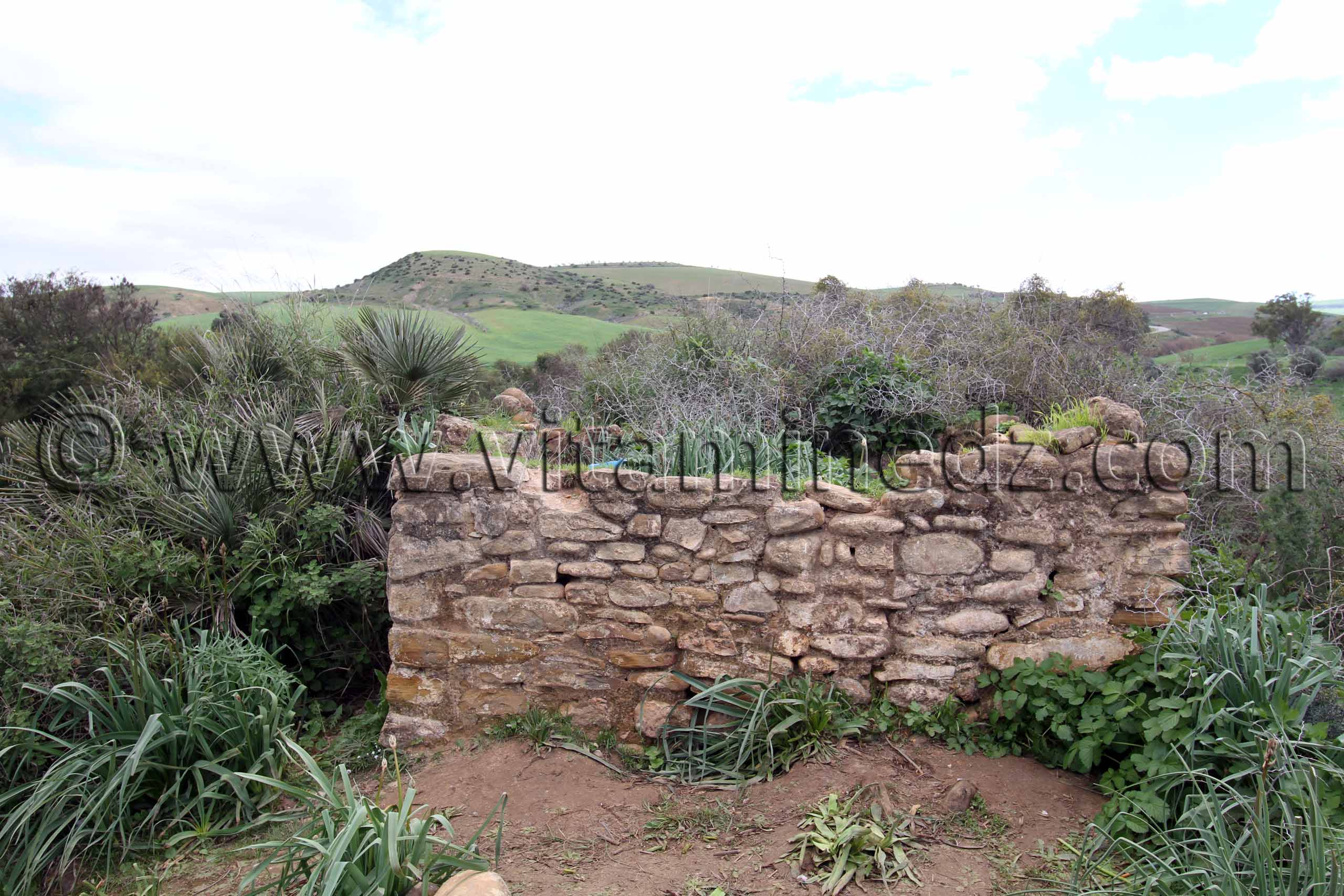 Tlemcen - Commune Ain youcef, Ancien marabout près de Oued Boukoura