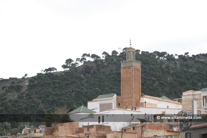 Complexe Sidi Boumediene