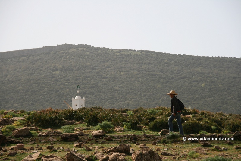 Berger au Douar Sidi Afif