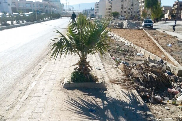 ARRÊT SUR IMAGE:  Vu à Tébessa 