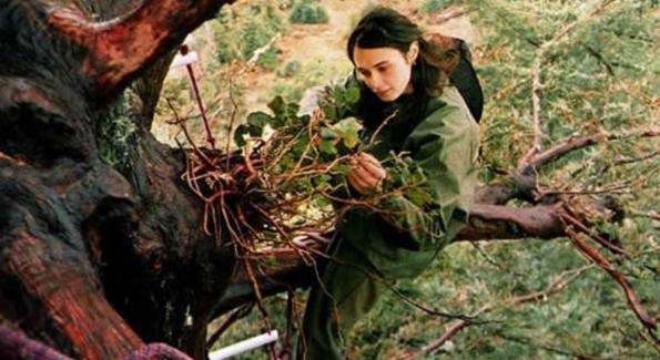 Planète - Etats-Unis: Pour sauver un arbre millénaire de l’abattage, elle s’installe dedans pendant deux ans