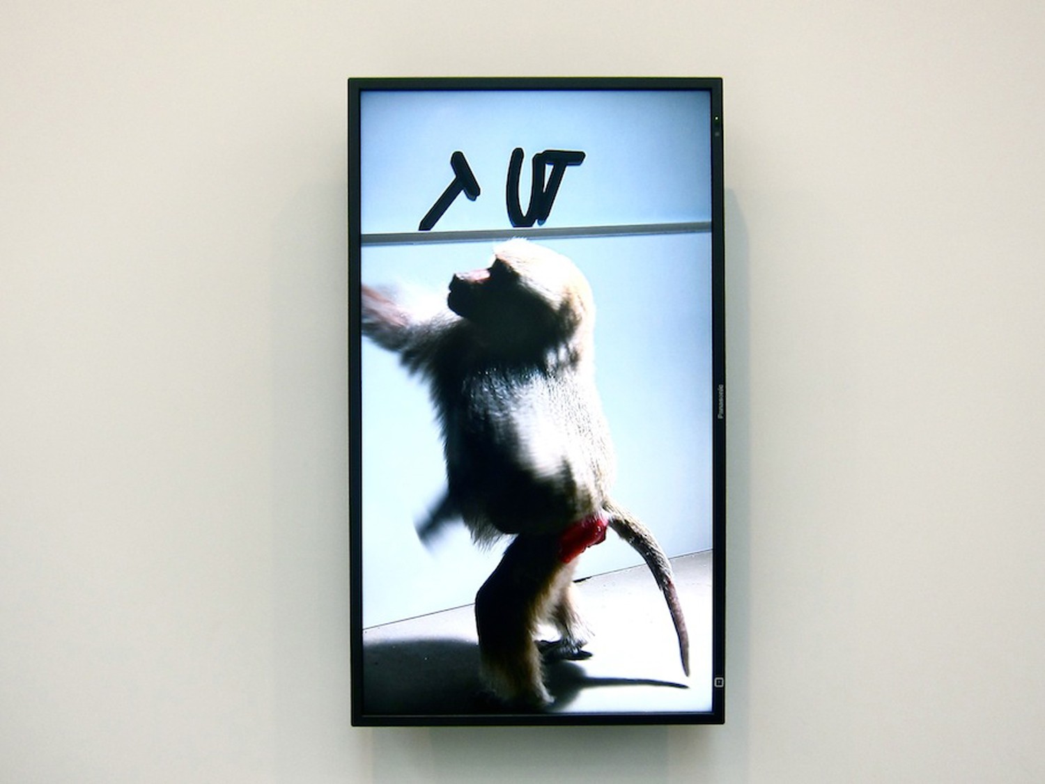 ADEL ABDESSEMED au the David Zwirner Gallery, New York