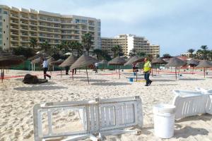 Maghreb - 5E ANNIVERSAIRE DE LA RÉVOLUTION DU JASMIN EN TUNISIE:  Une démocratie à l’épreuve des crises économique et sécuritaire