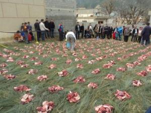 Louziaa du 24 décembre 2015 à Lemroudj