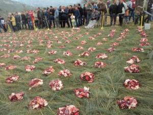 Louziaa du 24 décembre 2015 à Lemroudj