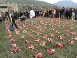 Louziaa du 24 décembre 2015 à Lemroudj