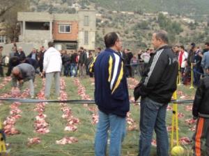 Louziaa du 24 décembre 2015 à Lemroudj