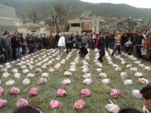 Louziaa du 24 décembre 2015 à Lemroudj