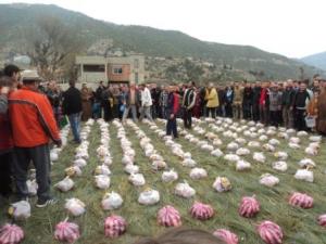 Louziaa du 24 décembre 2015 à Lemroudj