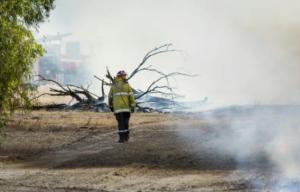 Planète -  Australie: les feux de forêt plus nombreux, signe d'un changement climatique