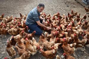 Planète - Dans l’empire de l’agrobusiness, au Brésil, une entreprise bio défend une agriculture «spiritualiste»