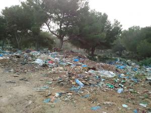 la foret de gdyel agonise