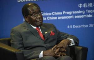 Planète -  Sécheresse: le Zimbabwe fait appel aux dons pour importer de la nourriture