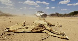 Afrique - L’ONU PARLE D’UNE SITUATION HUMANITAIRE “ALARMANTE”:   Grave sécheresse en Somalie