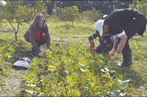 Algérie - UNE ASSOCIATION ALGÉRIENNE S’INSCRIT DANS LE MOUVEMENT AGROÉCOLOGIQUE:  “Torba” ou le lien avec la terre nourricière