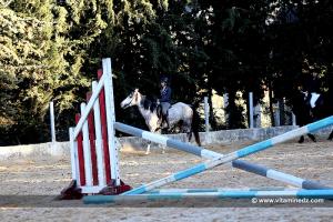 Centre équestre de mansourah