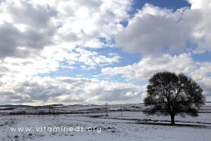Oued Ennachef, Tlemcen Parc National, neige abondante sur les hauteurs de Terny