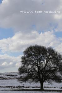 Tlemcen  Parc National, neige abondante sur les hauteurs de Terny