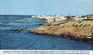 La Salamandre ... ce fut un temps