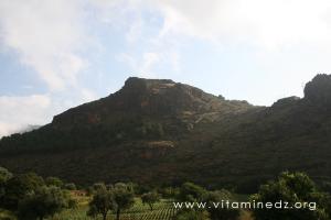 Verger du coté d'El Mdég (Oud saf Saf)