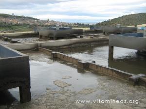 Station d\'epuration des eaux usées de Tlemcen - Ain El Hou
