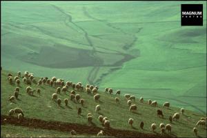 ALGERIA. Constantine. 1982.