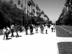 Alger - Le jardin d’essai: Une destination privilégiée pour les enfants