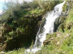 Toudja (Béjaïa) -  Fête de l’eau: symbolique et richesses