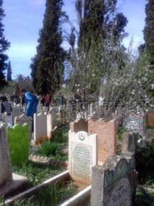 Cimetière Sidi Senoussi Tlemcen