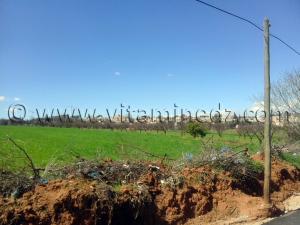 Brea (Abou-Tachfine) Tlemcen