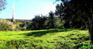 Paysages des hauteurs de Ziama