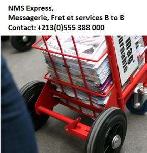 NMS Express Messagerie Domestique