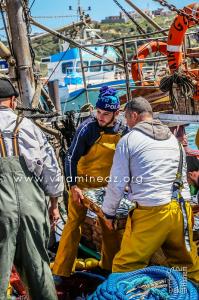Retour des sardiniers - Port de Pêche de Ghazaouet