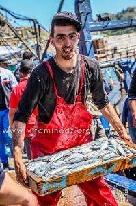 Jeune pêcheur - Port de Pêche de Ghazaouet
