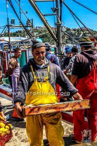 Vie de pêcheurs - Port de Pêche de Ghazaouet