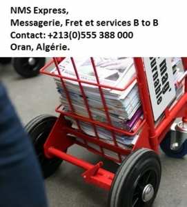 NMS Express Messagerie Domestique