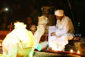 Algérie - Cirque Amar en tournée à Tlemcen