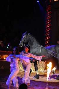 Algérie - Cirque Amar en tournée à Tlemcen
