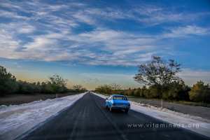 Oiseaux migrateurs sur la route de Sebdou Al Aricha