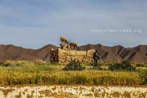 Nouvelle stele a Mecheria representant 2 antilopes