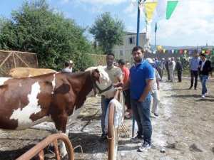 Tizi Ouzou - Fête du lait à Imaloussène