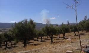 Feu de Forets a Zarifet - Tlemcen