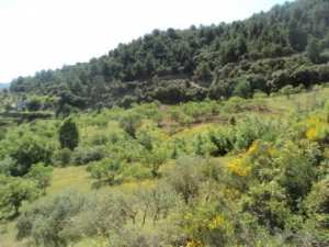 Promenade en pleine nature, le 15 mai 2016